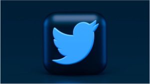 Twitter’s new ‘Blue’ service is a new tax on minorities